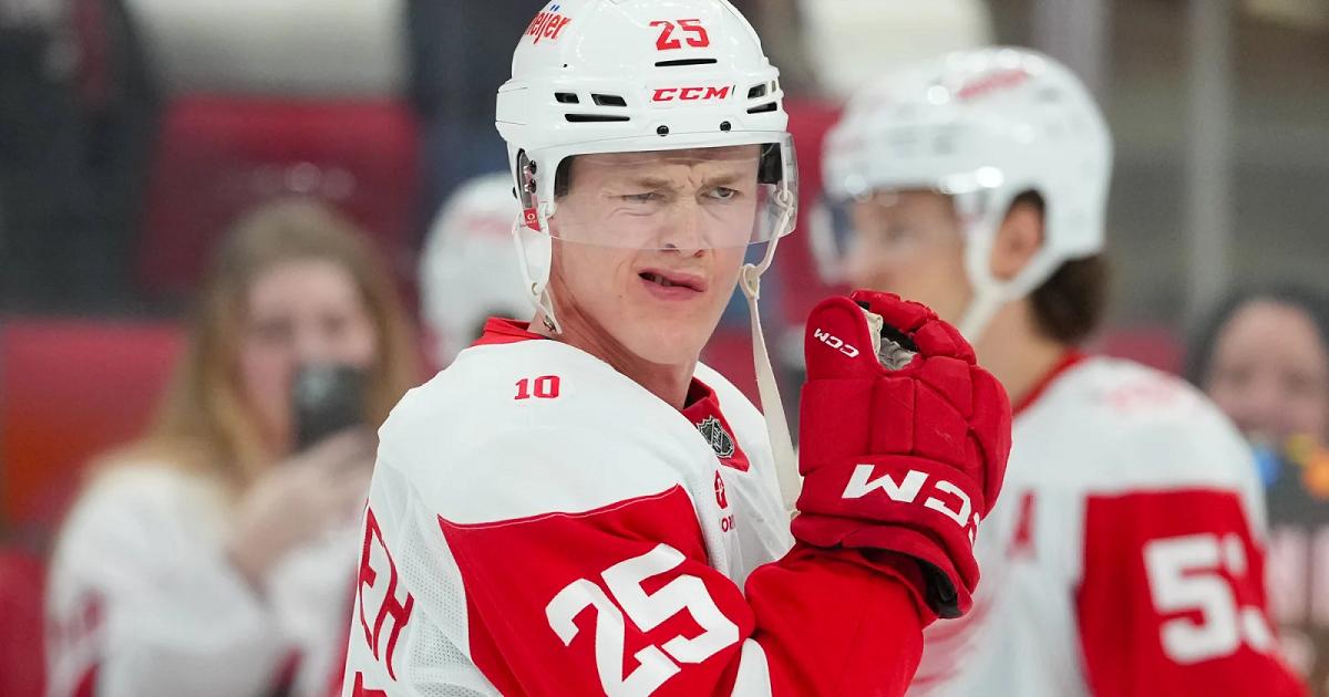 Jacob Bernard Docker-Red wings-James Guillory-Imagn Images
