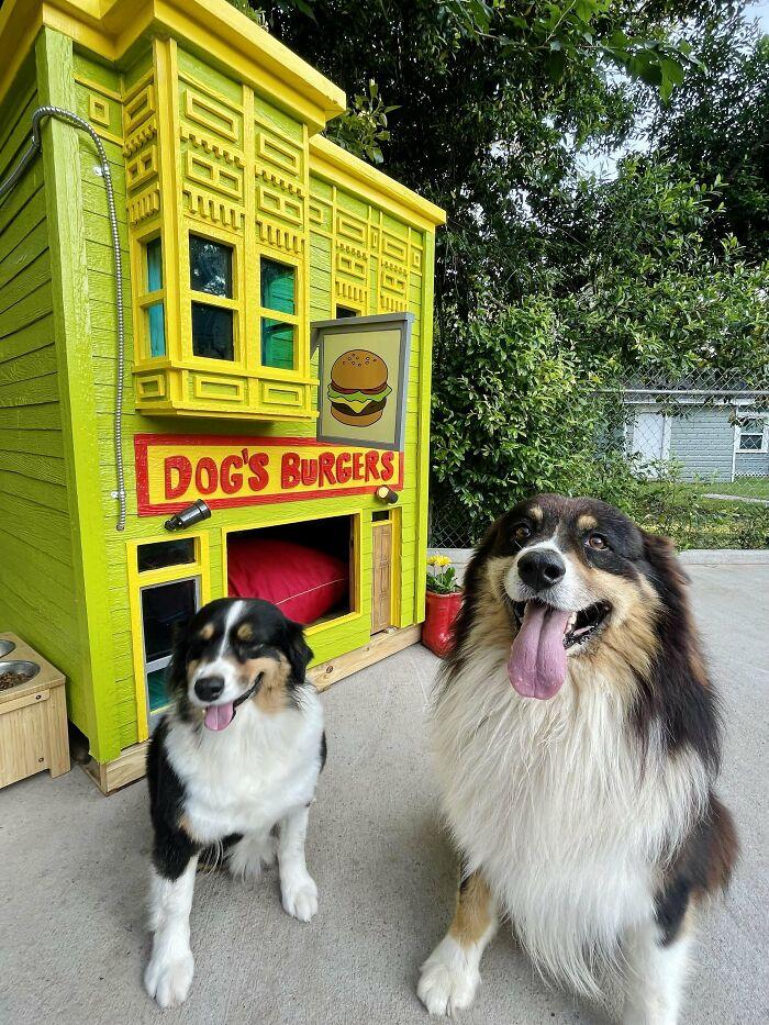 Niche pour chien