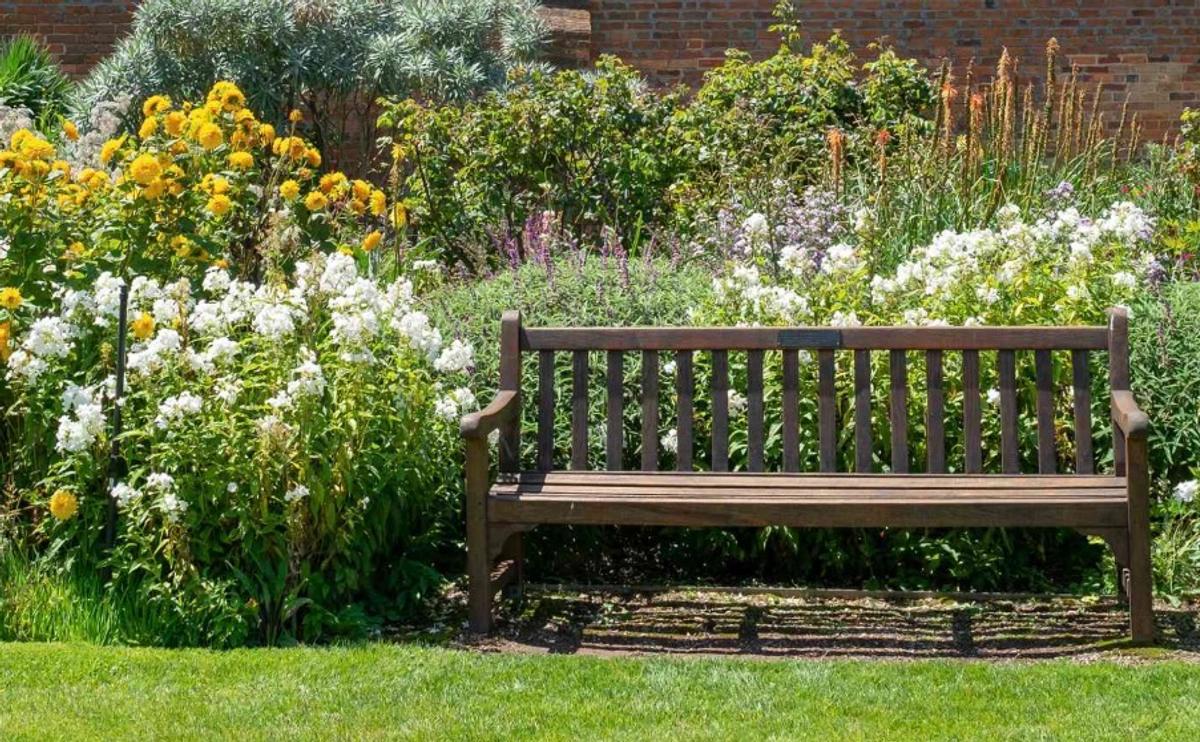 Jardin