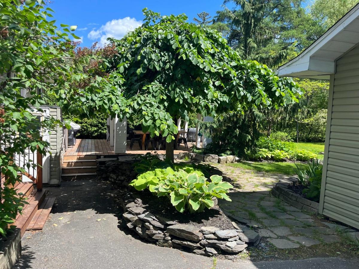 Le jardin paysagé bordé de haies