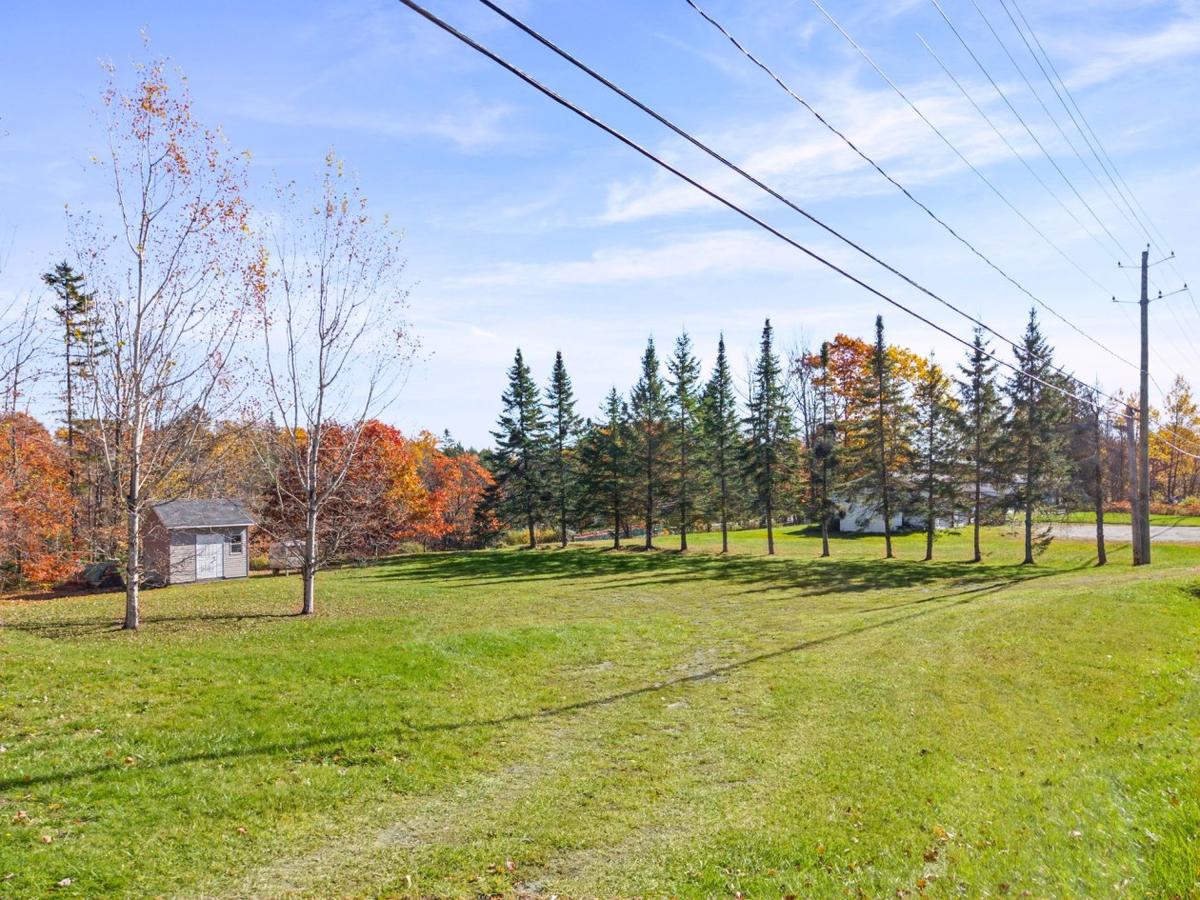 Le terrain vu depuis l'arrière de la maison