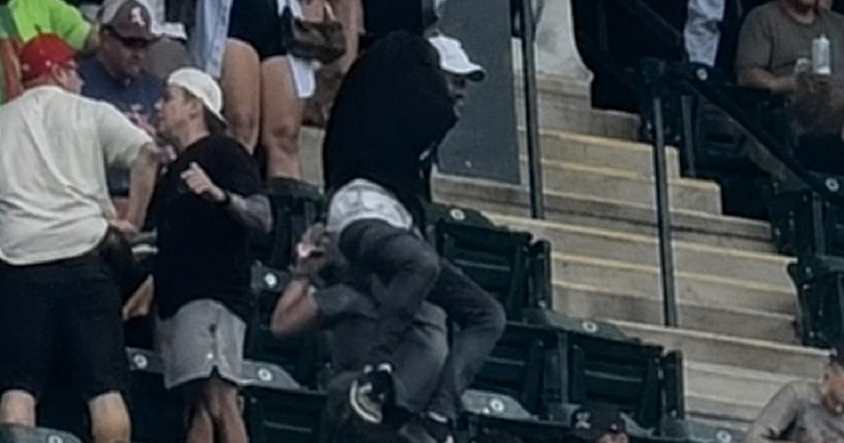 MLB-Fan-Dives