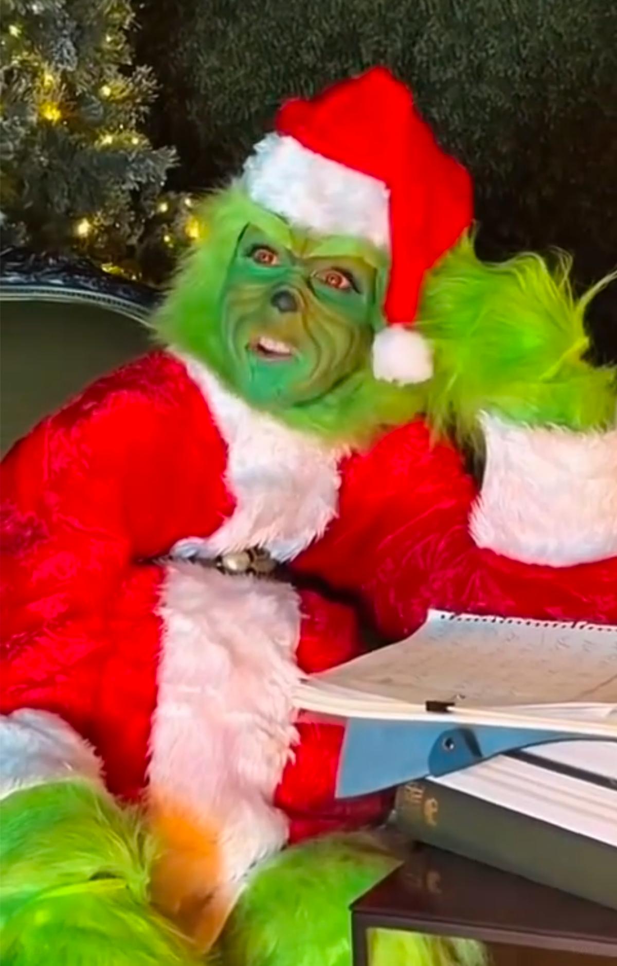 Céline Dion déguisé en Grinch