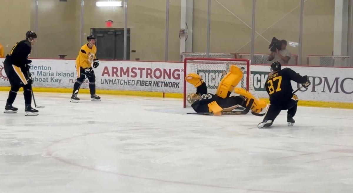 Marc-André Fleury
