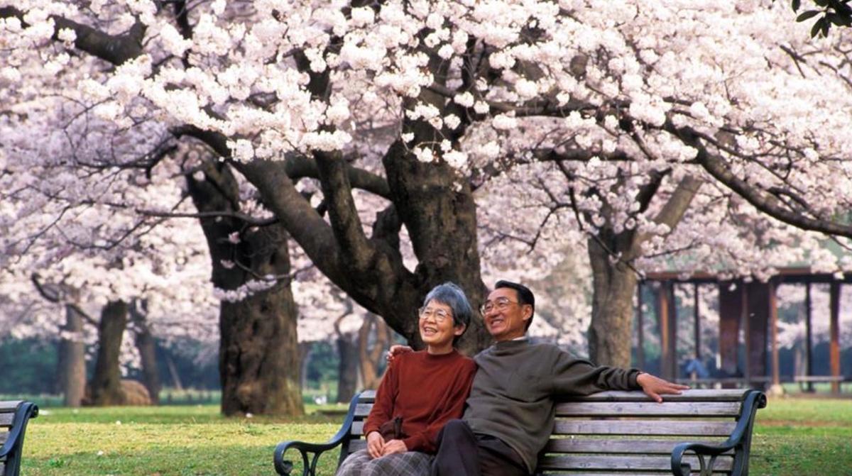 Japon