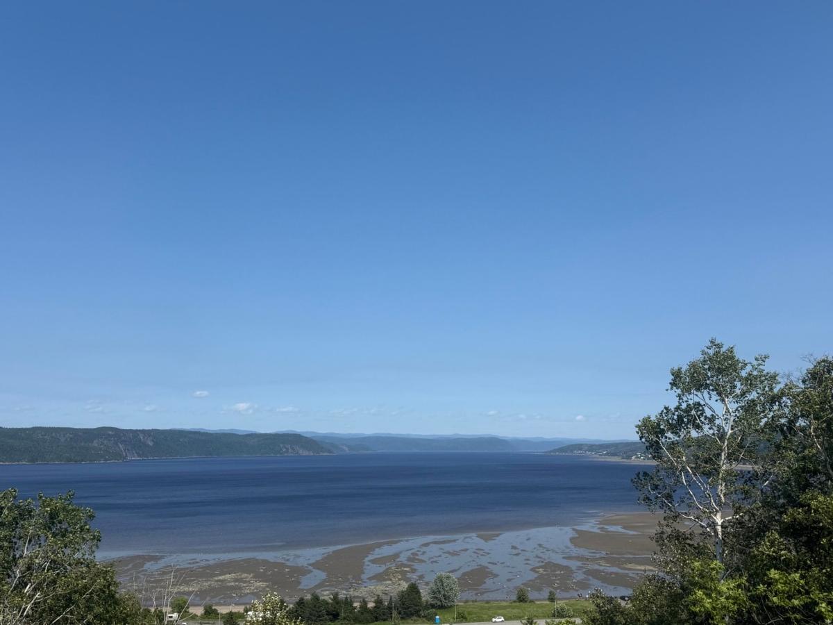 Perspective sur l'environnement naturel