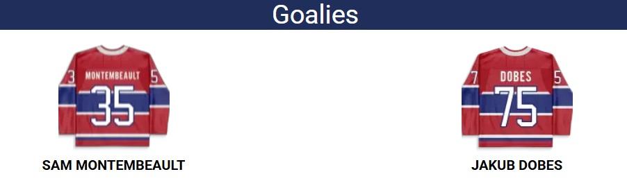 Goalies