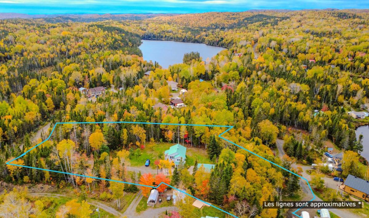Le salon lumineux avec vue sur la nature