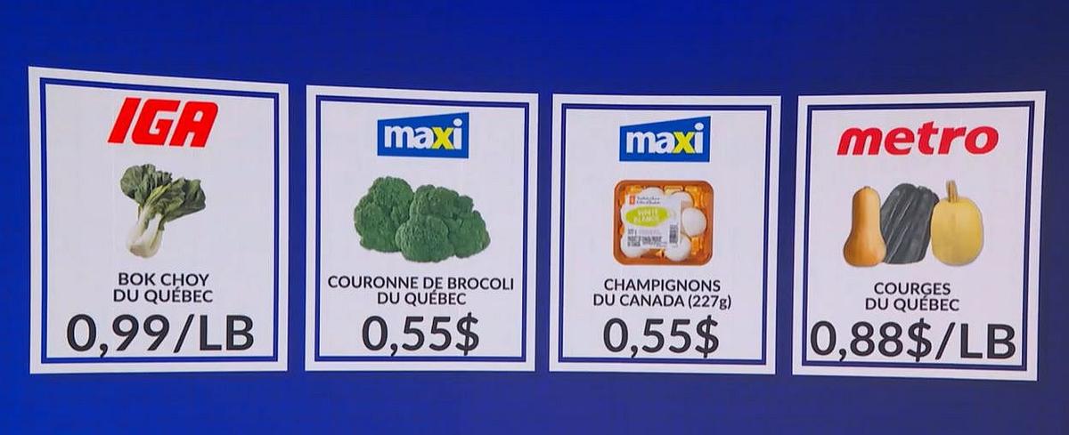 Le combat des circulaires