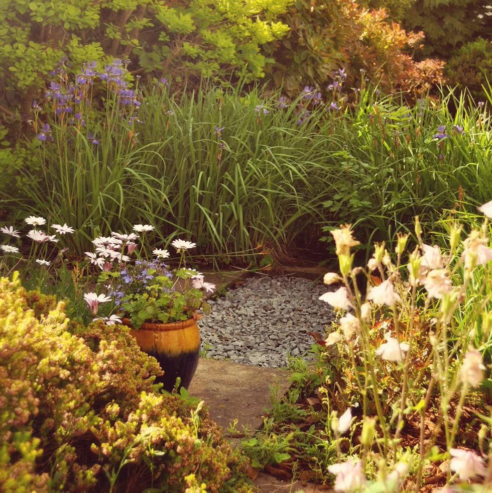 Jardin