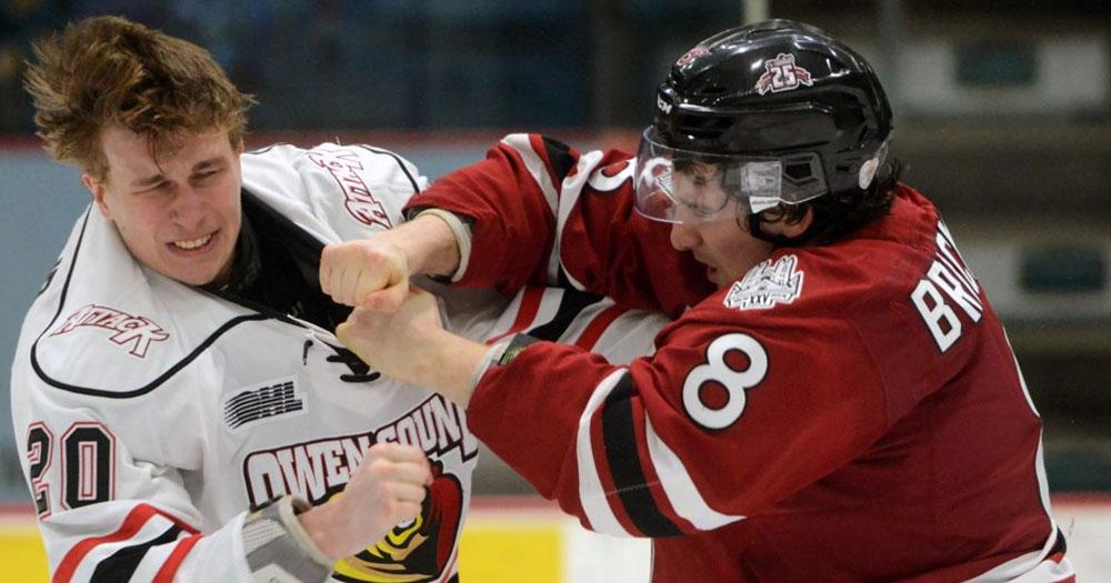 Hockey fight