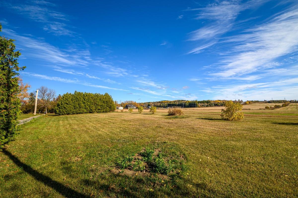 Cour arrière et terrain dégagé