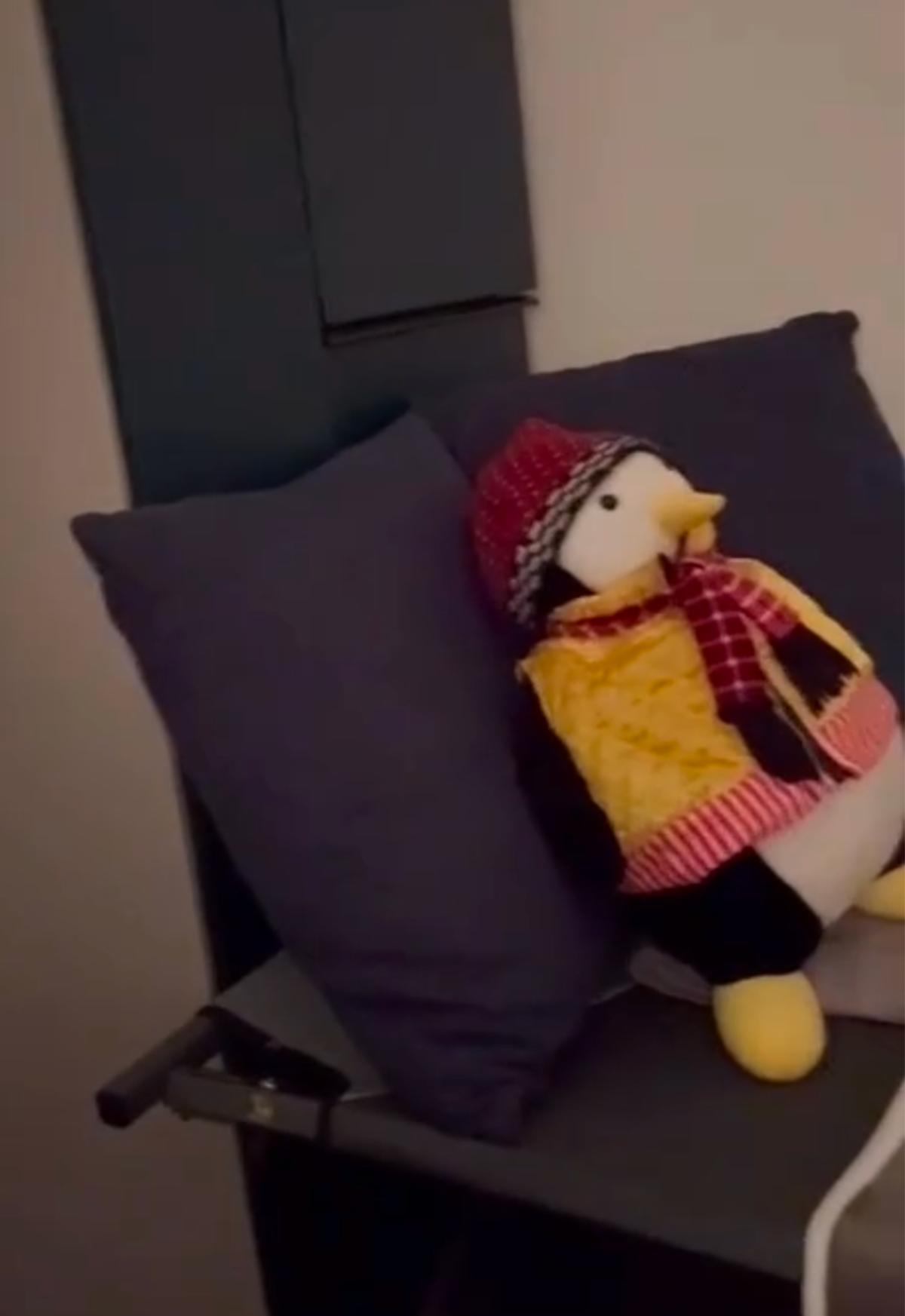 Penguin toutou