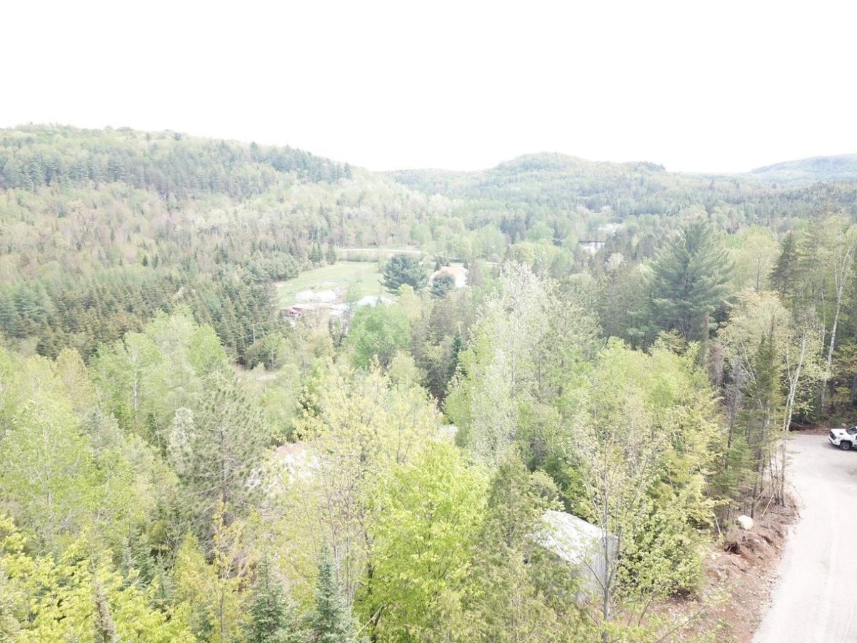 Perspective sur la forêt entretenue