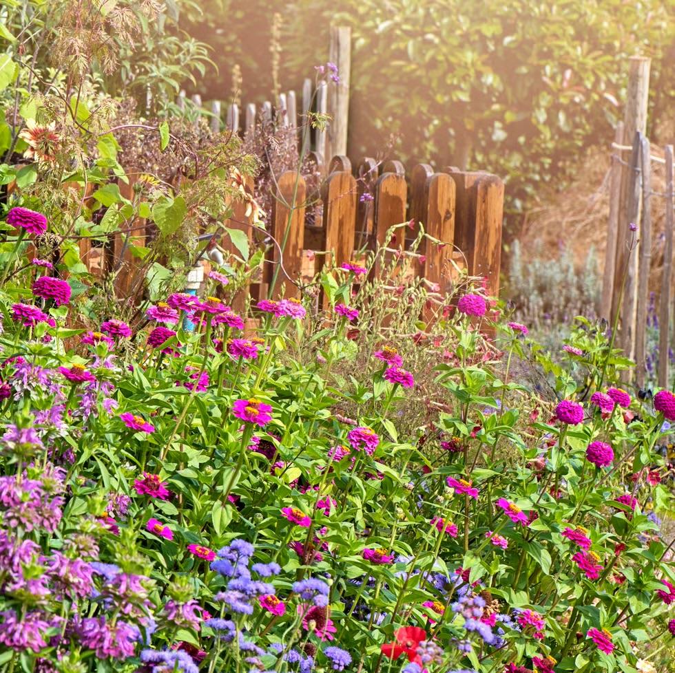 Jardin