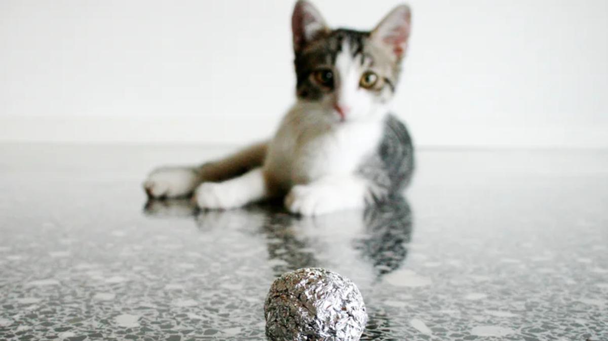 Chat