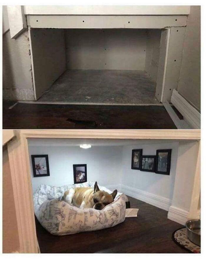 Niche chien