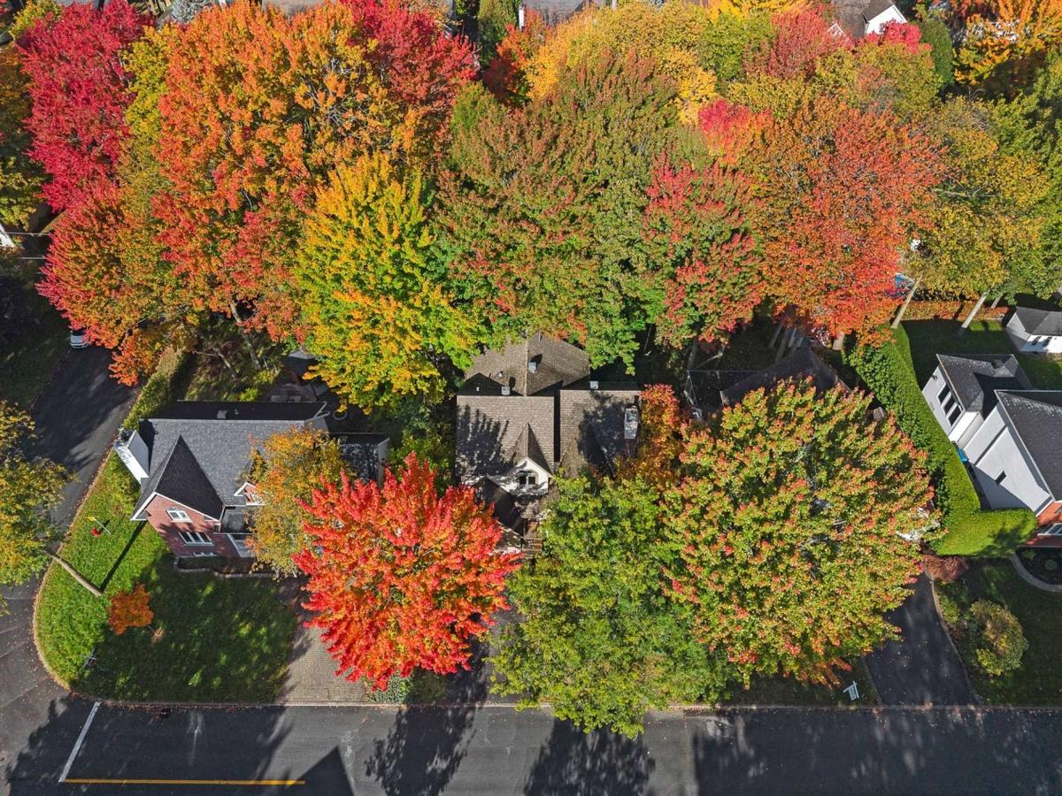 Vue aérienne du quartier et de la propriété