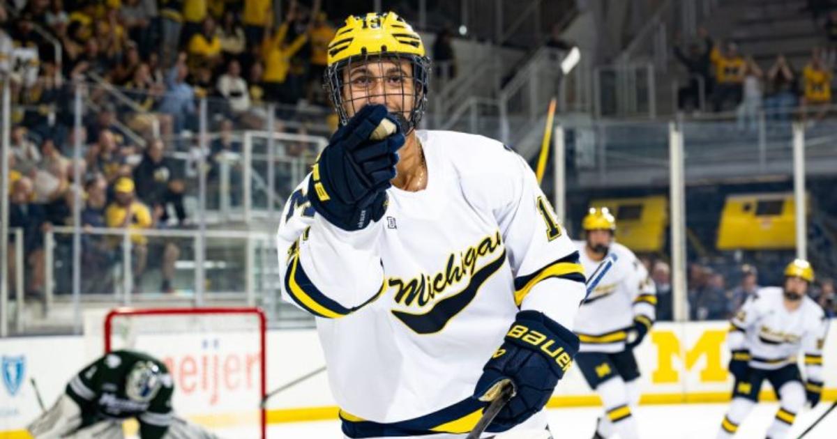 Michael Hage Michigan