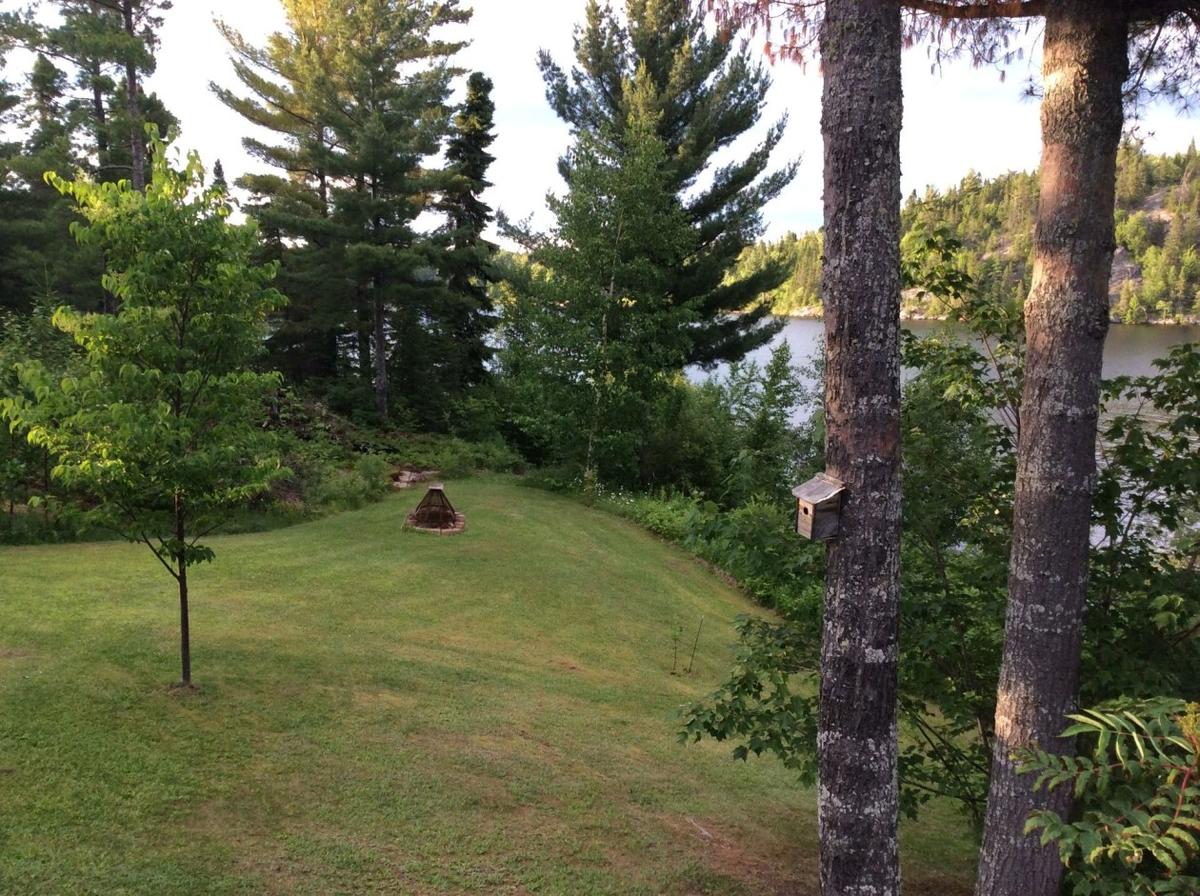 Environnement boisé autour de la résidence