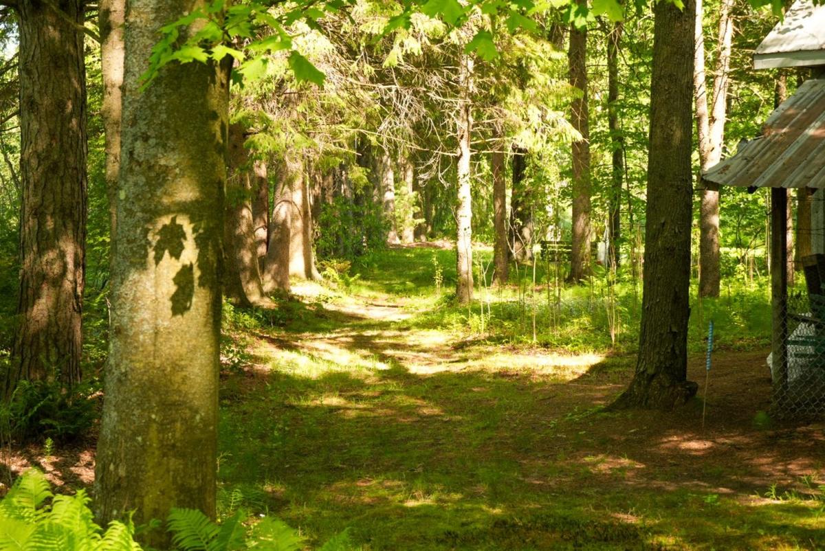 Allée extérieure