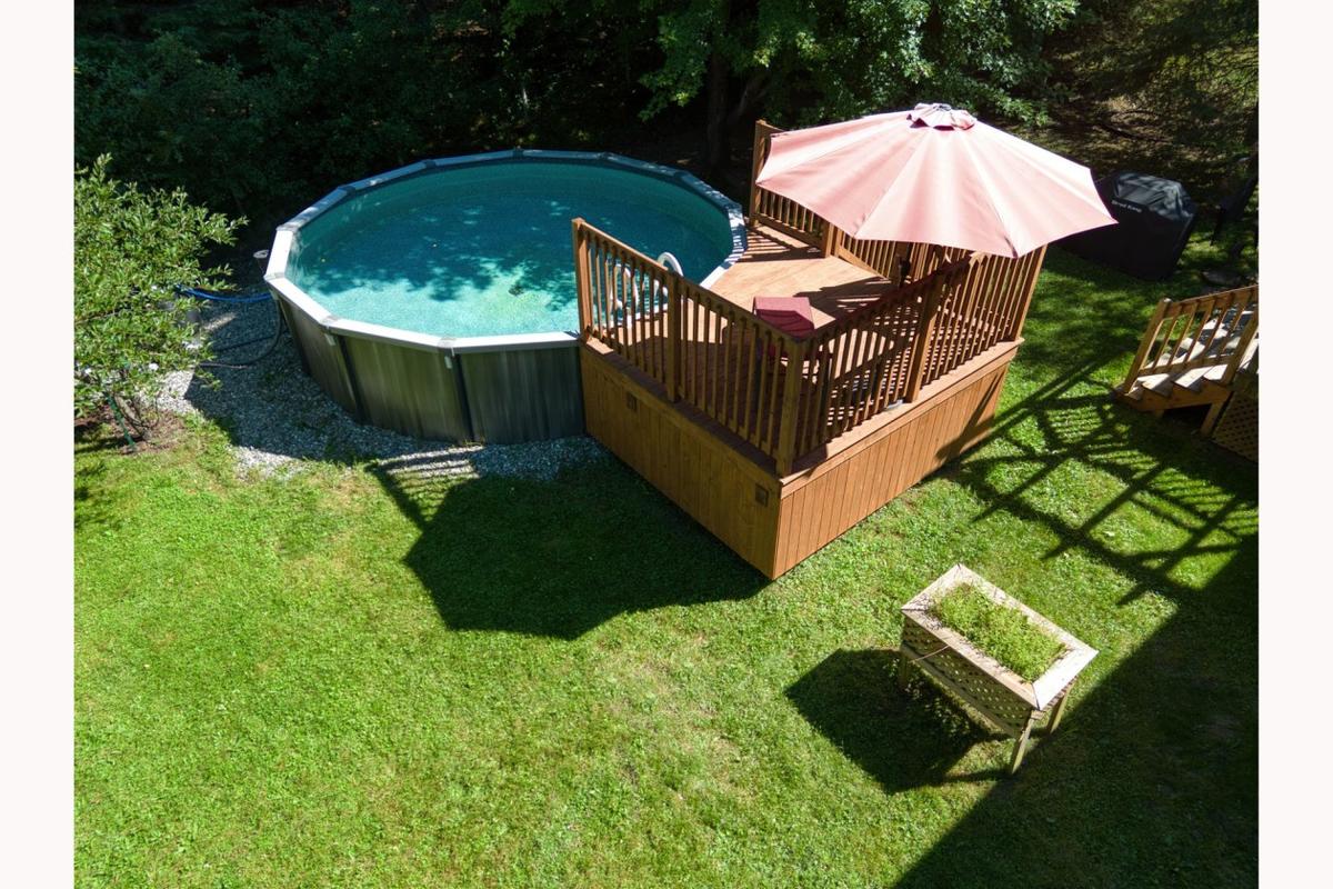 La piscine dans son écrin de verdure