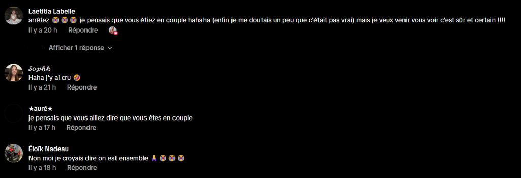 Commentaires