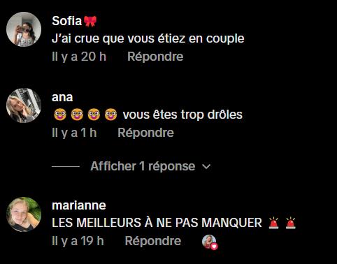 Commentaires