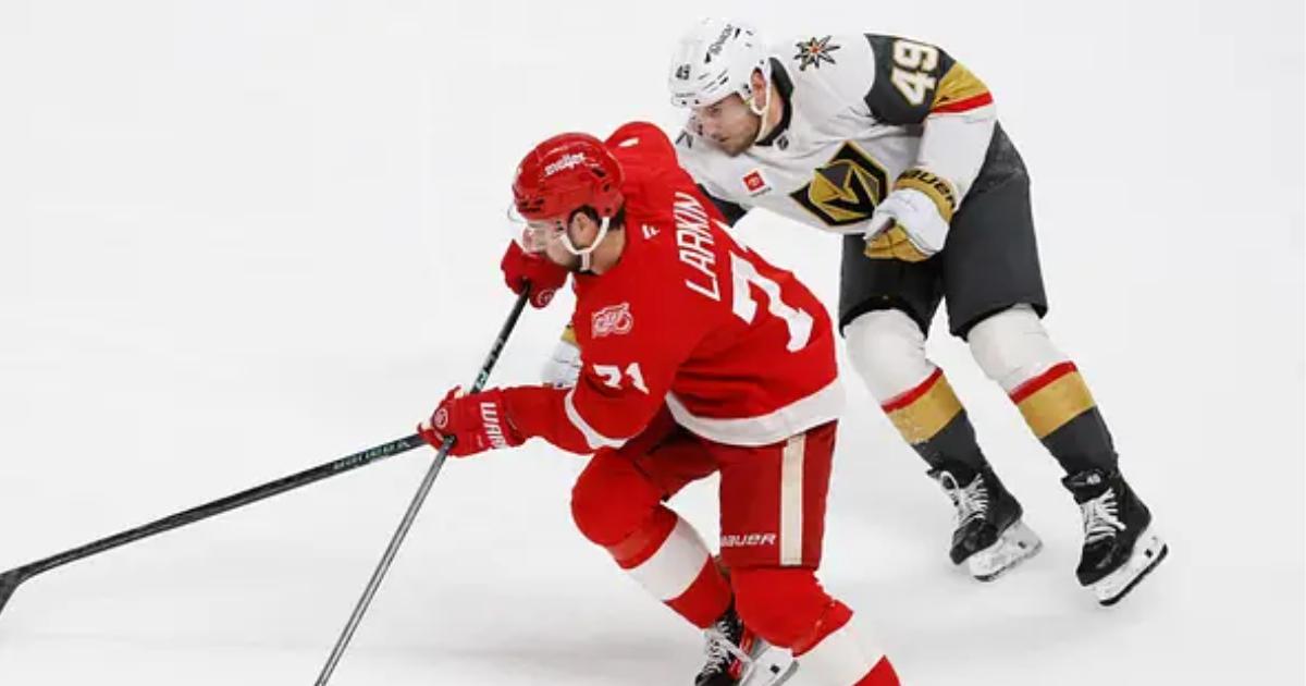 Dylan Larkin 
