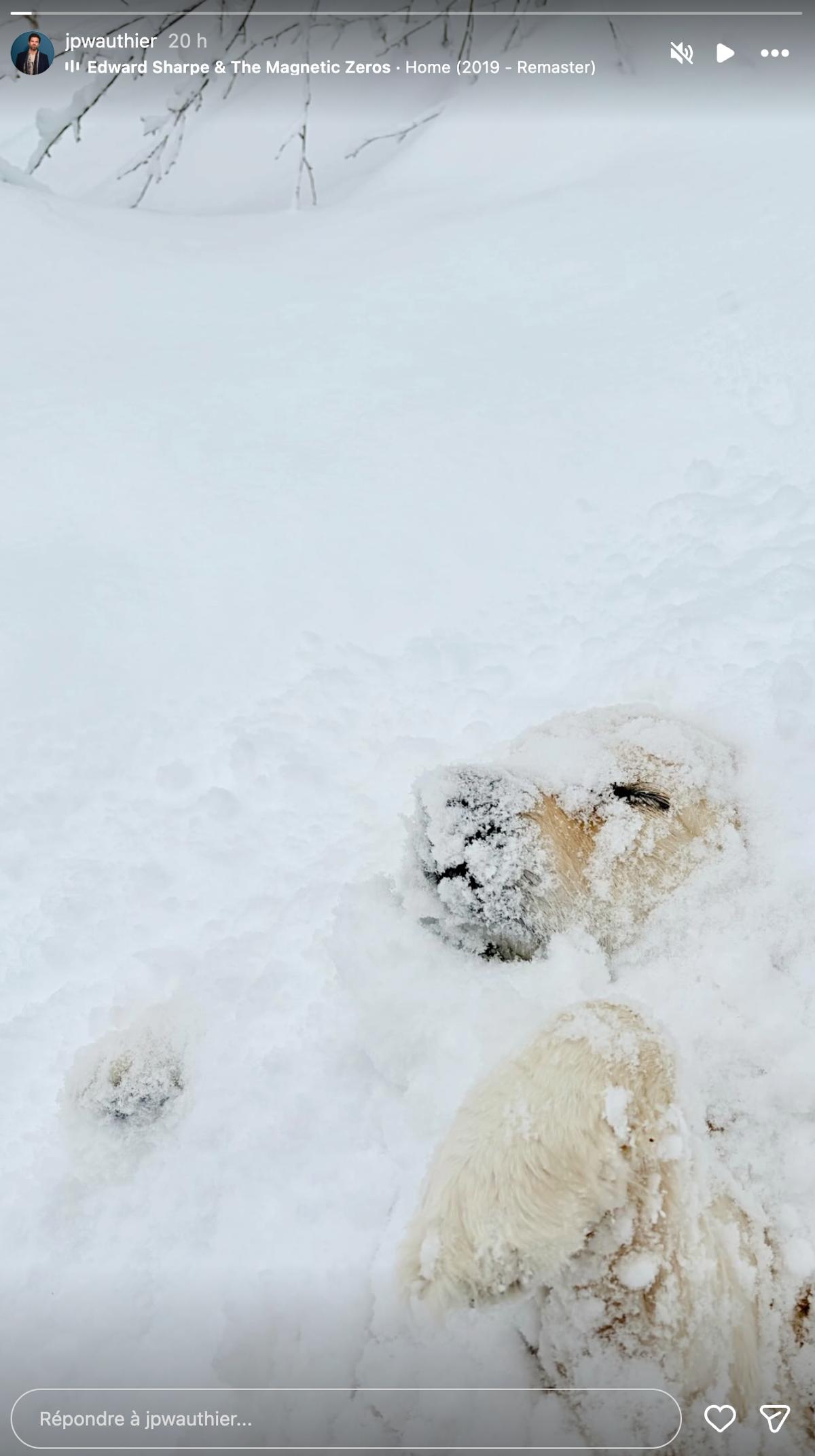 Rare publication de Jean-Philippe Wauthier