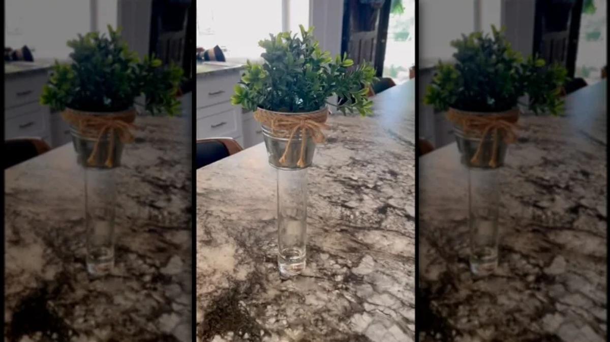 Déco plantes