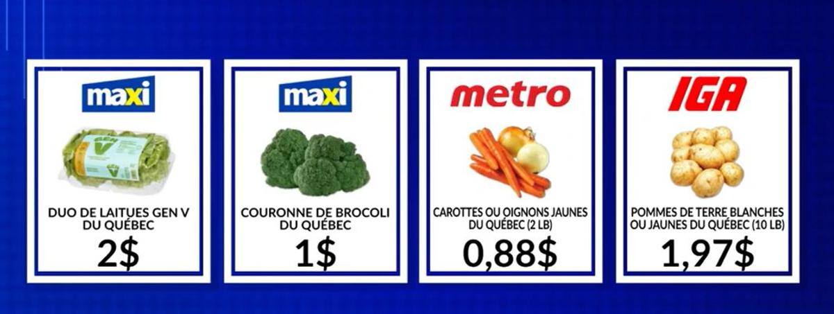 Capture vidéo LNC, Combat des circulaires