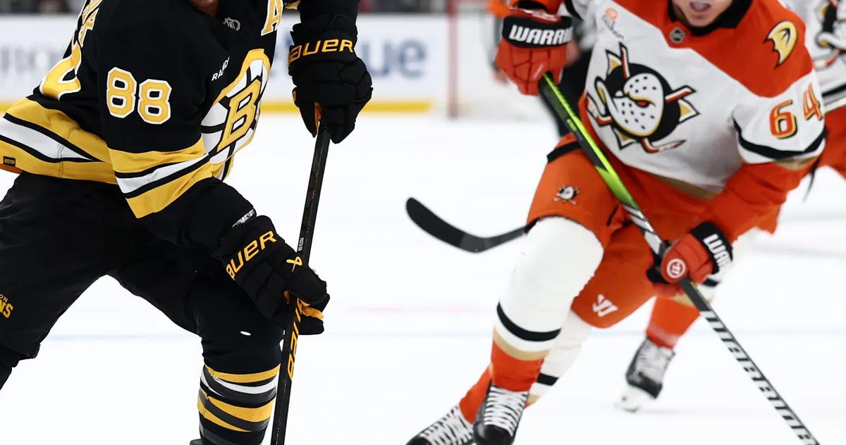 Bruins vs. Ducks. 