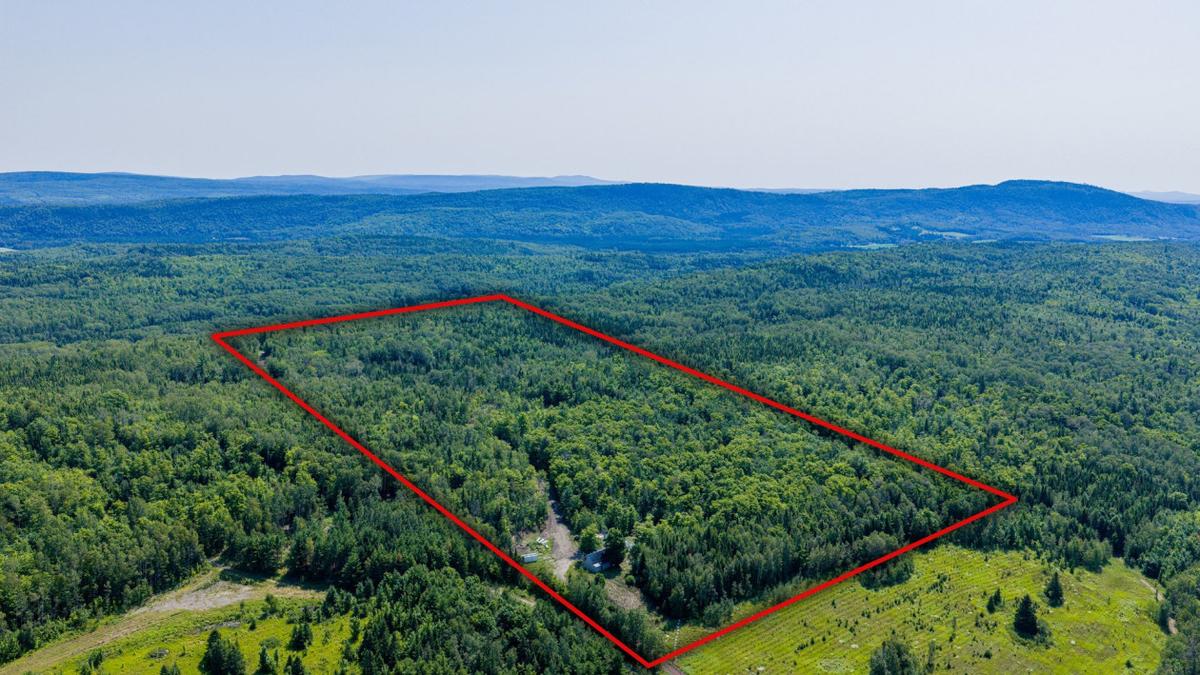 Le domaine dans son écrin forestier
