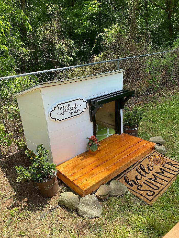 Niche chien