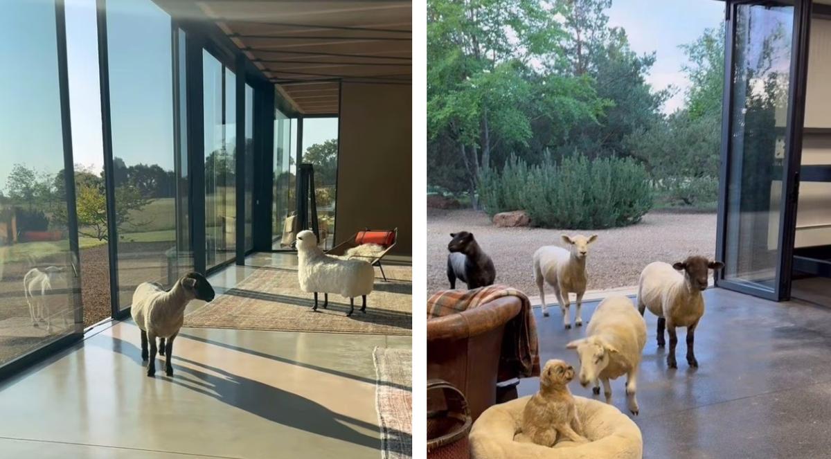 Ellen DeGeneres maison