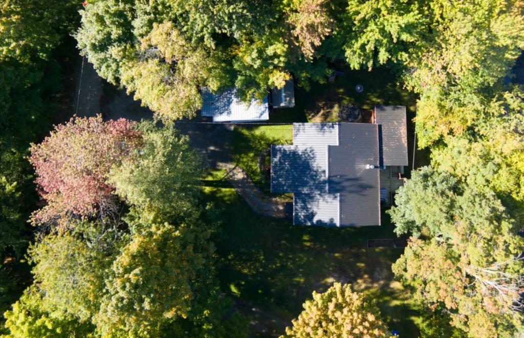 Immobilier