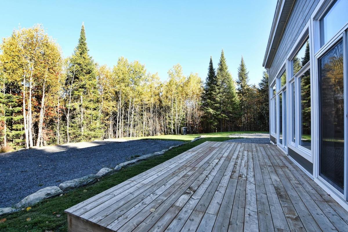 Patio avec vue sur les arbres