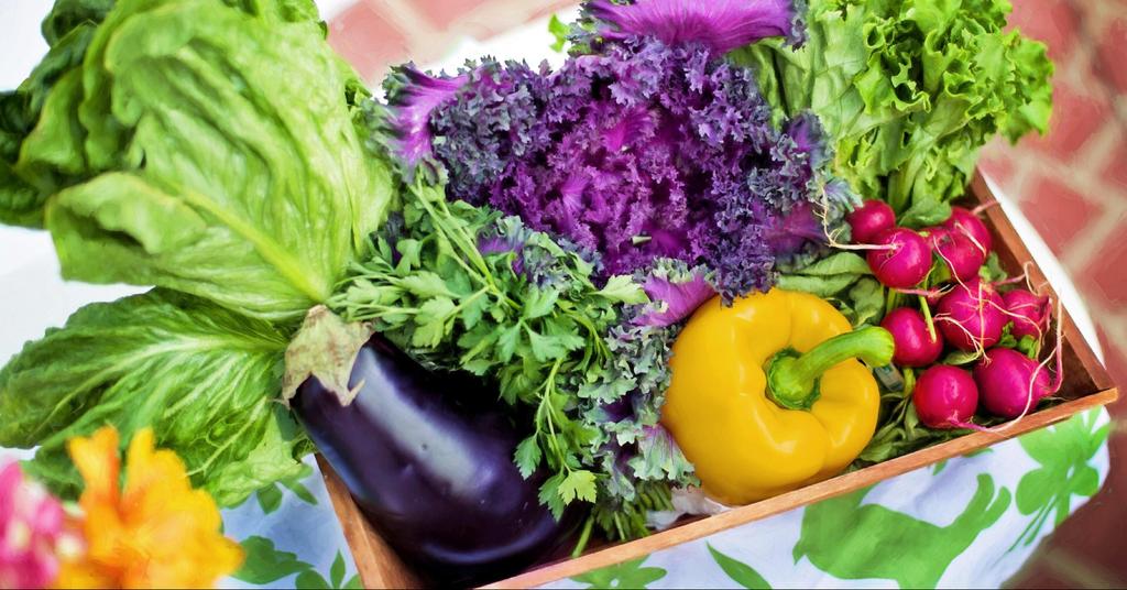 Produits du jardin