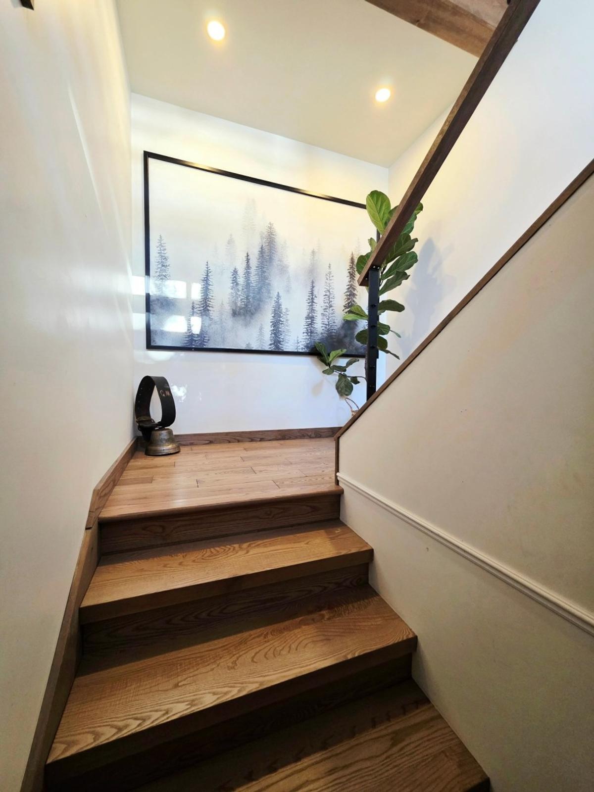 Escalier contemporain