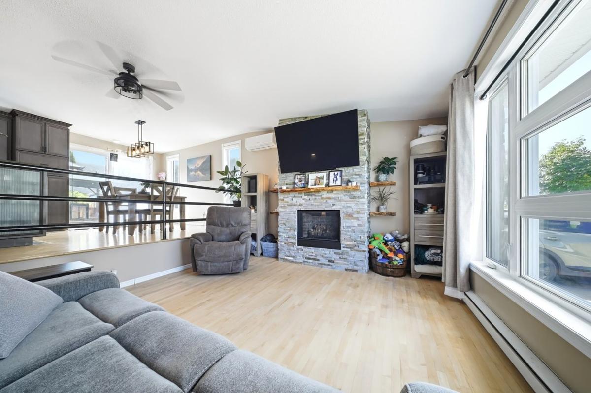Salon avec foyer