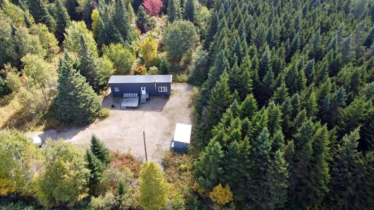 Vue d'ensemble du chalet en forêt