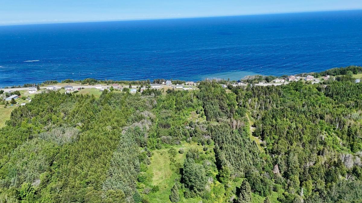 Vue aérienne de la côte gaspésienne environnante
