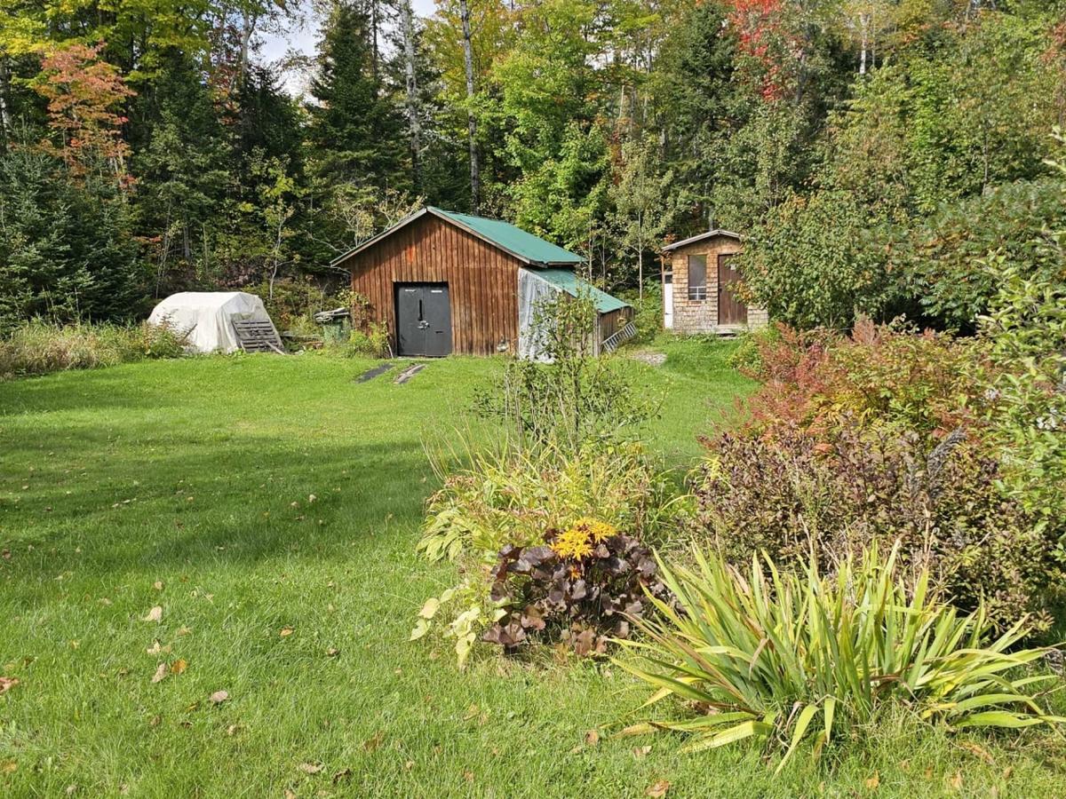 Vaste terrain verdoyant en arrière-cour