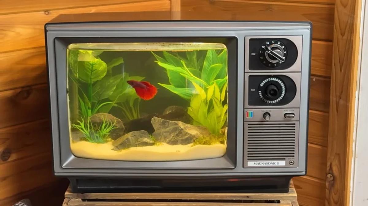 Aquarium