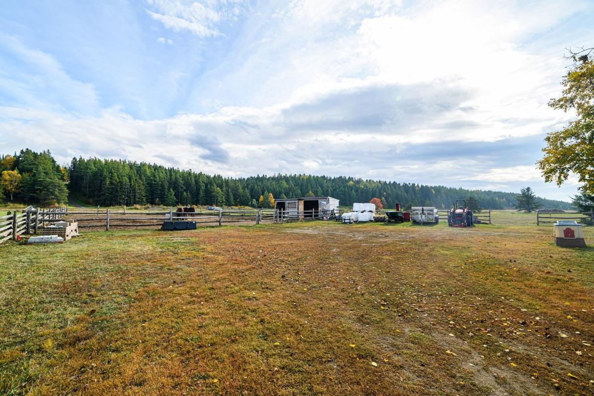 Terrain dégagé et vue sur les environs