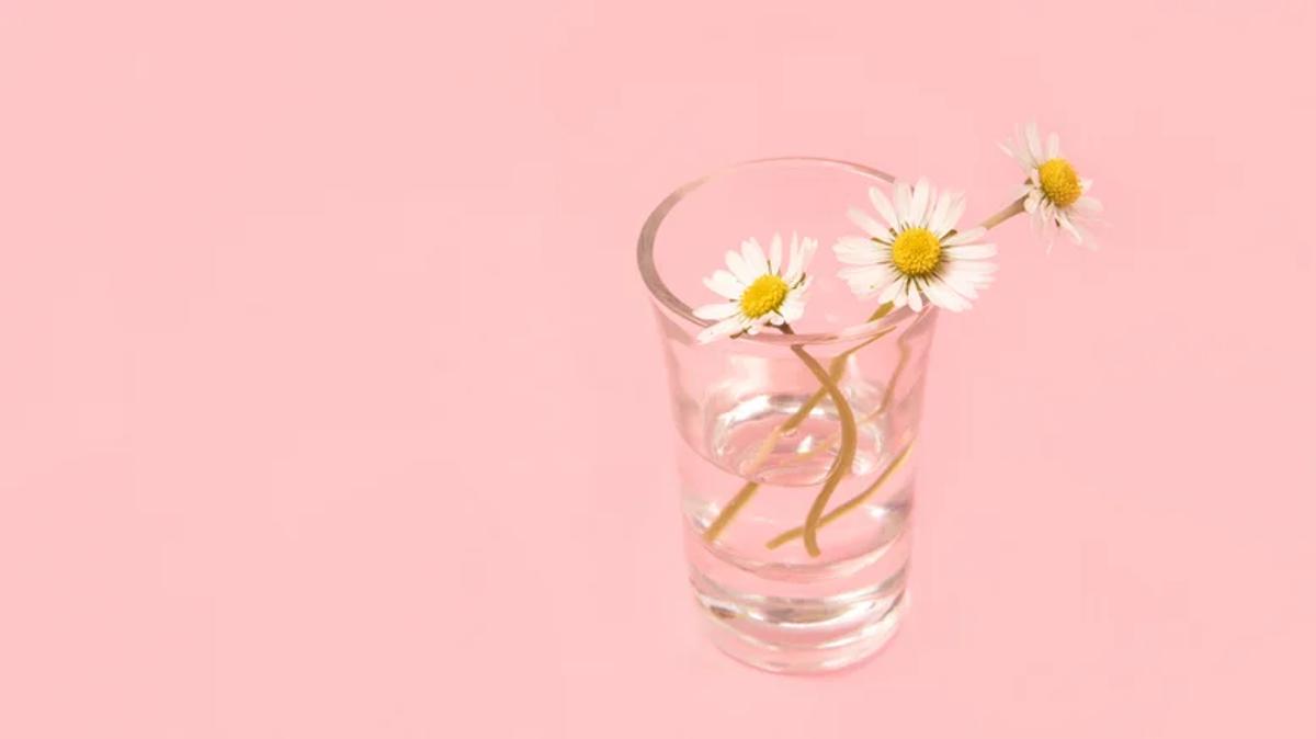 Fleurs