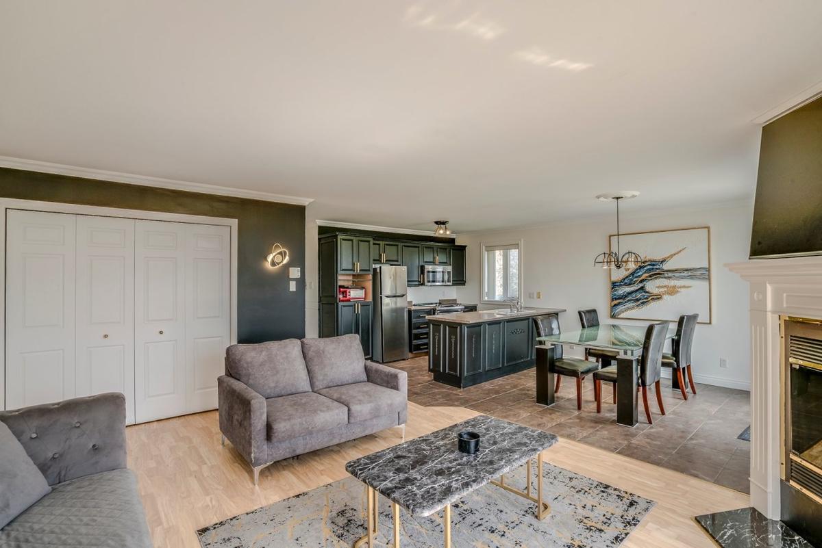 Salon avec foyer au bois