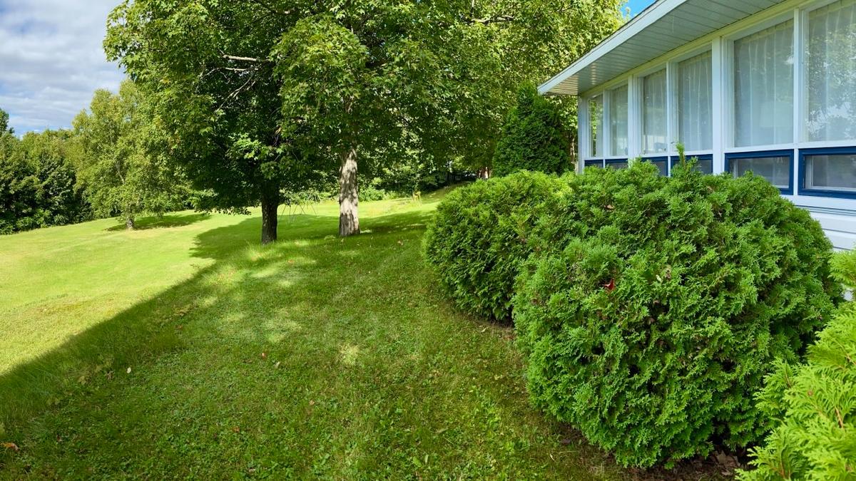 Perspective sur le domaine verdoyant