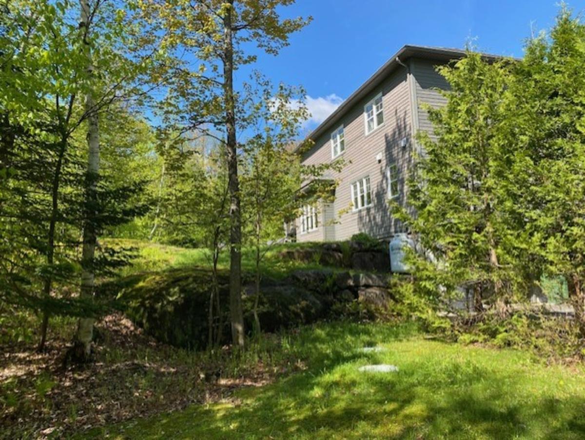 La cour arrière et son environnement naturel